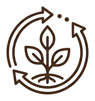 Weiterentwicklung Icon